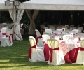 catering_en_guadalajara