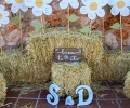 catering_jardines_guadalajara_2